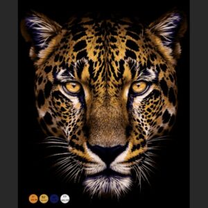 separacion  de diseño